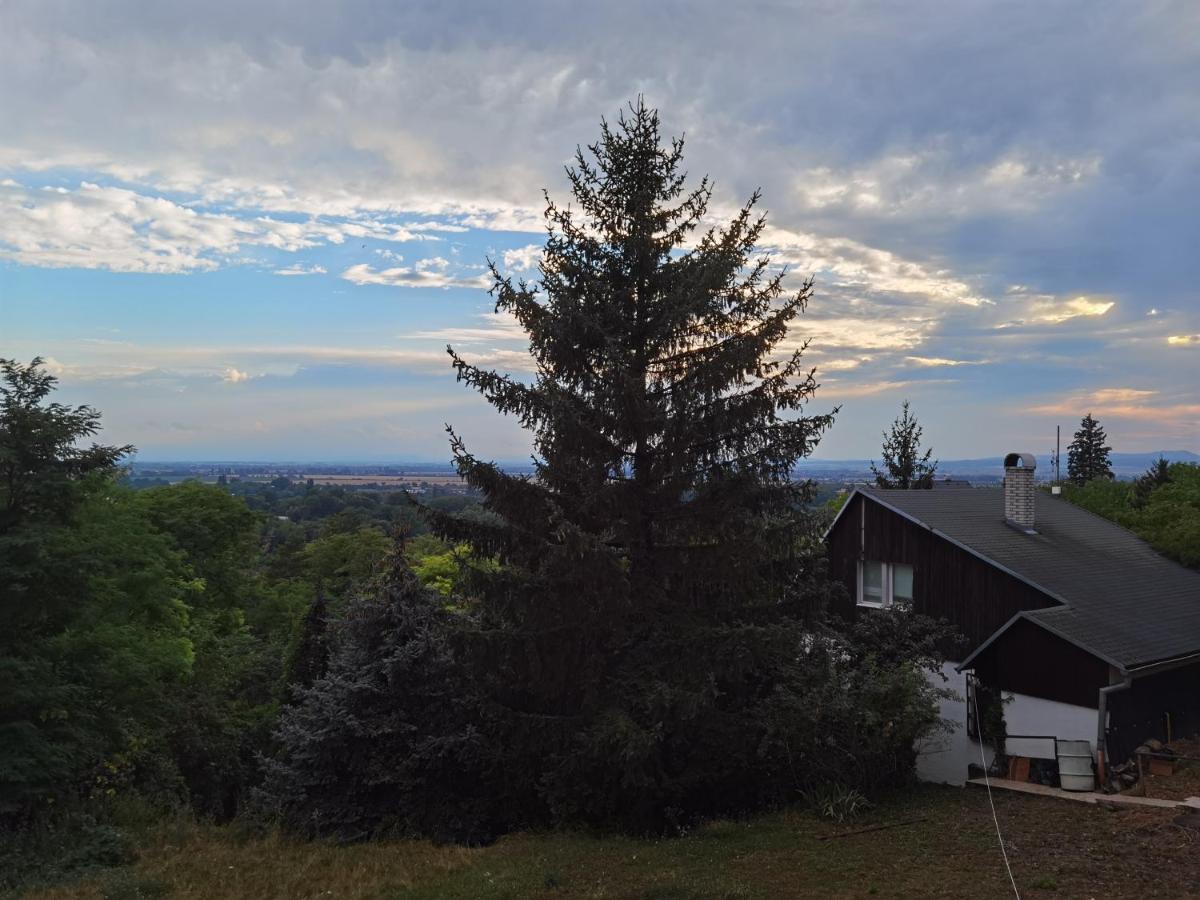 Sunset House Piestany Cervena Veza Apartman Bánka Kültér fotó